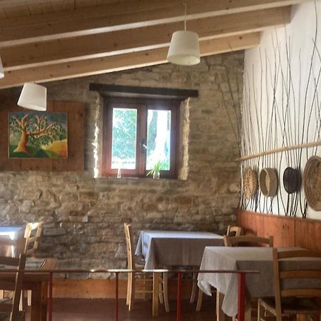 Agriturismo Becerca Vegan Serra San Quirico Экстерьер фото