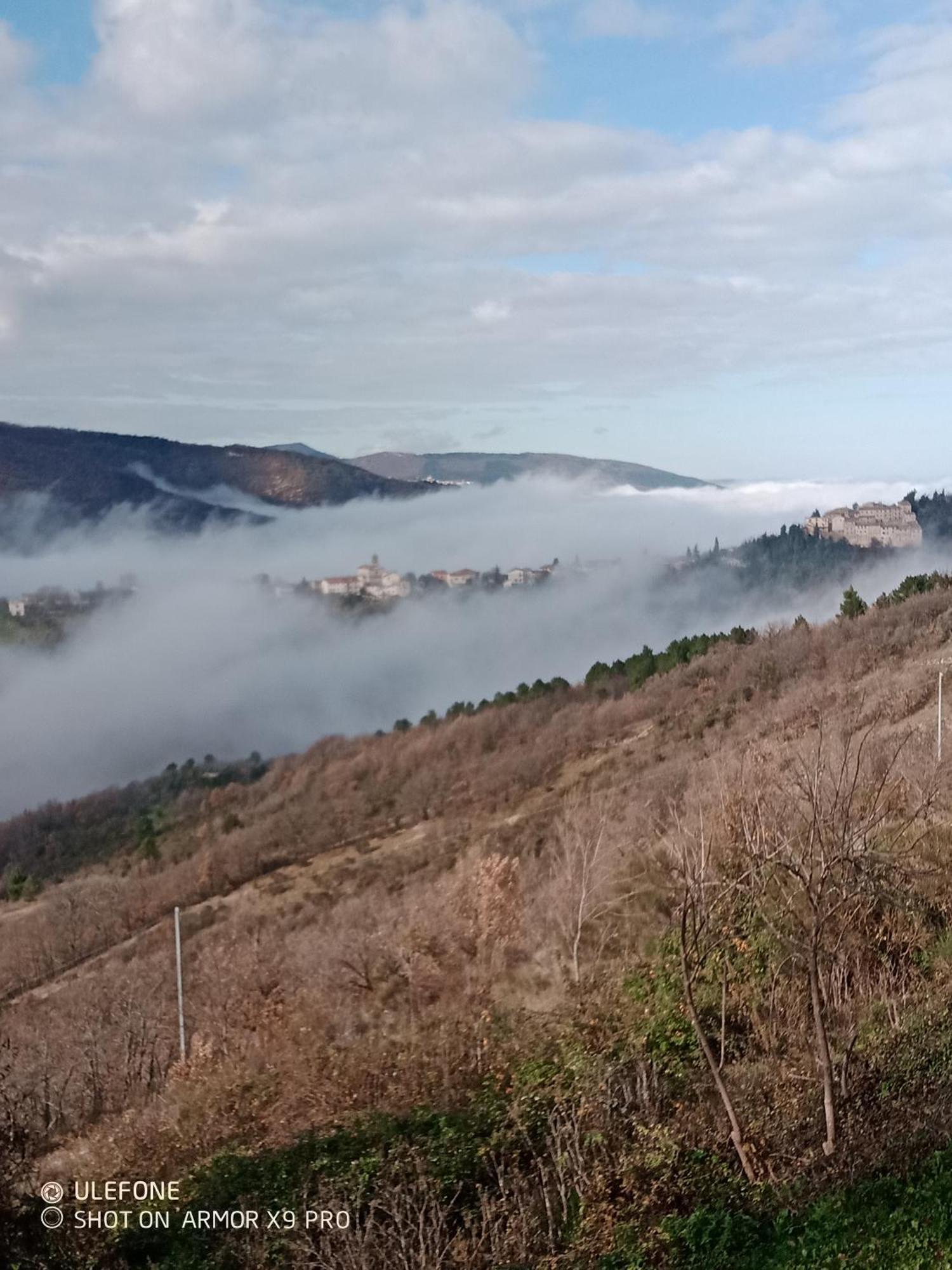 Agriturismo Becerca Vegan Serra San Quirico Экстерьер фото
