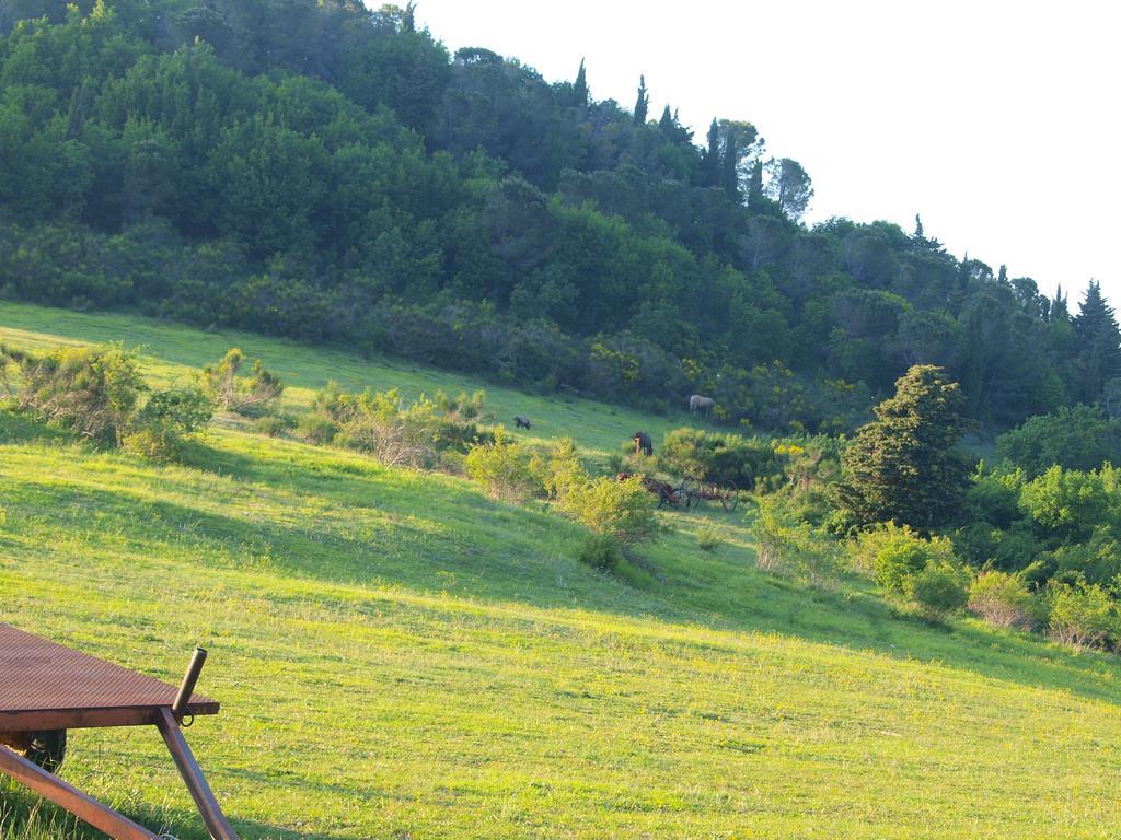 Agriturismo Becerca Vegan Serra San Quirico Экстерьер фото