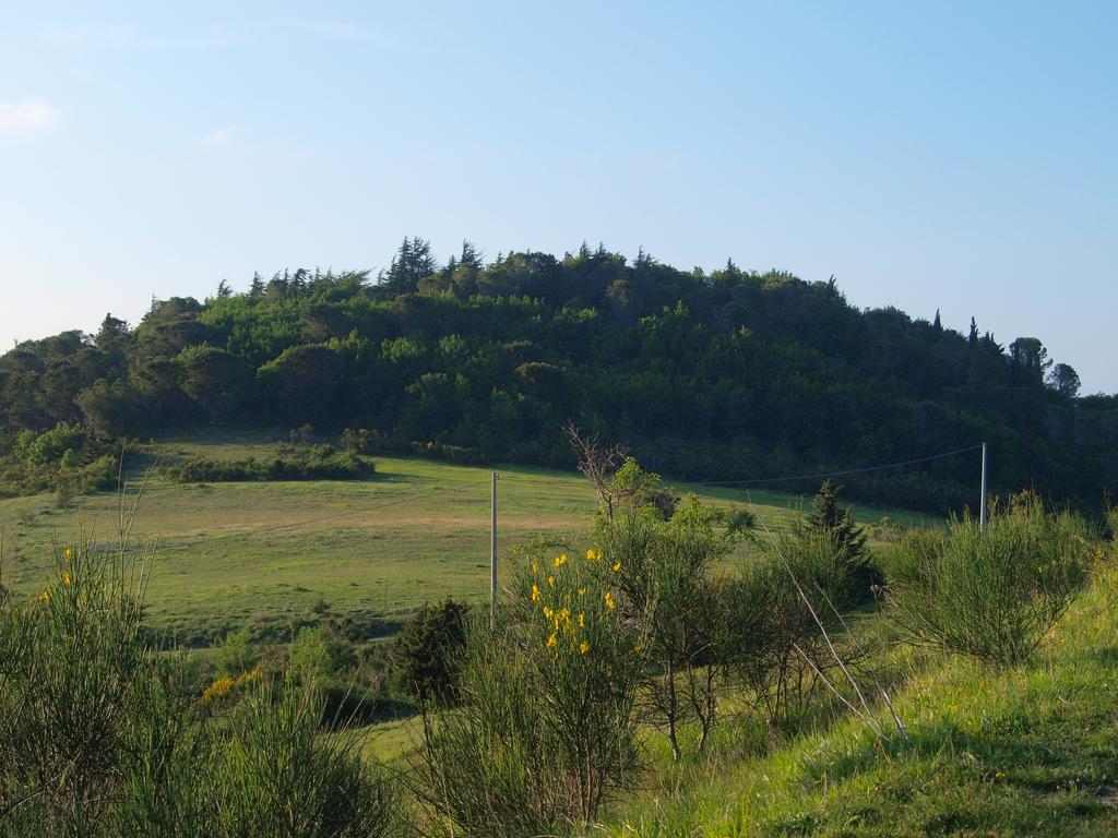 Agriturismo Becerca Vegan Serra San Quirico Экстерьер фото