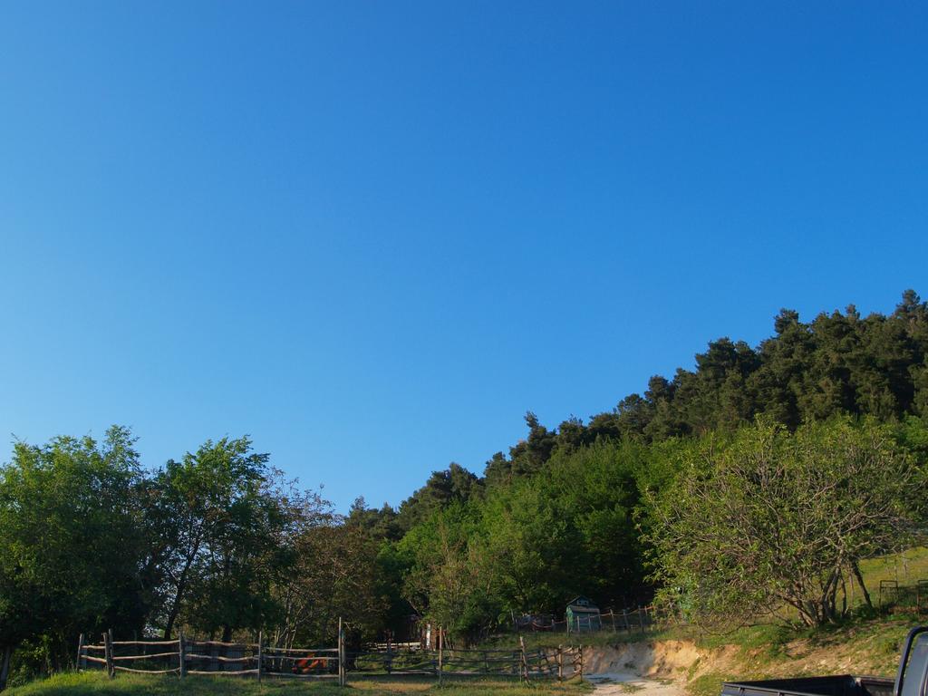 Agriturismo Becerca Vegan Serra San Quirico Экстерьер фото
