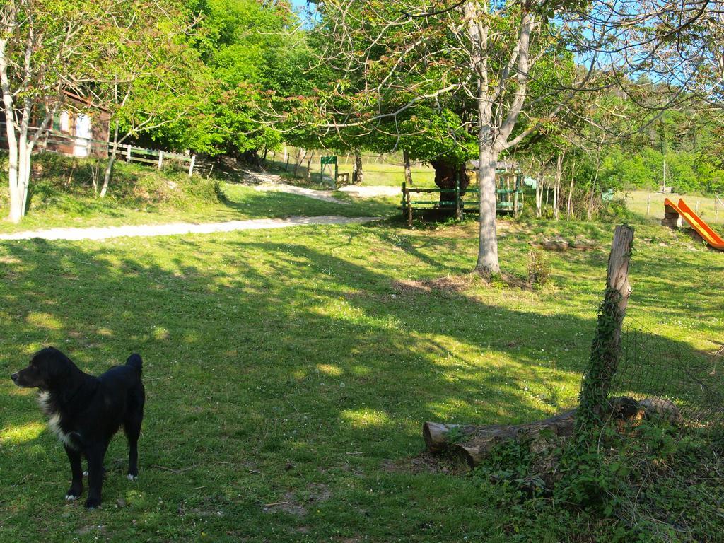 Agriturismo Becerca Vegan Serra San Quirico Экстерьер фото