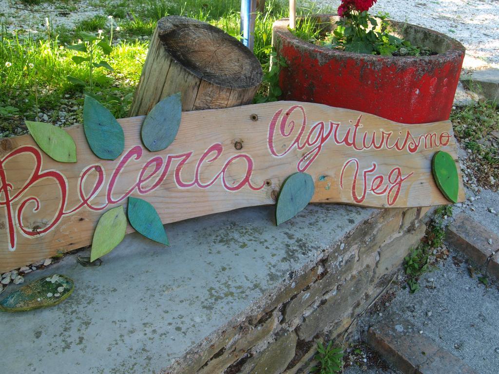 Agriturismo Becerca Vegan Serra San Quirico Экстерьер фото