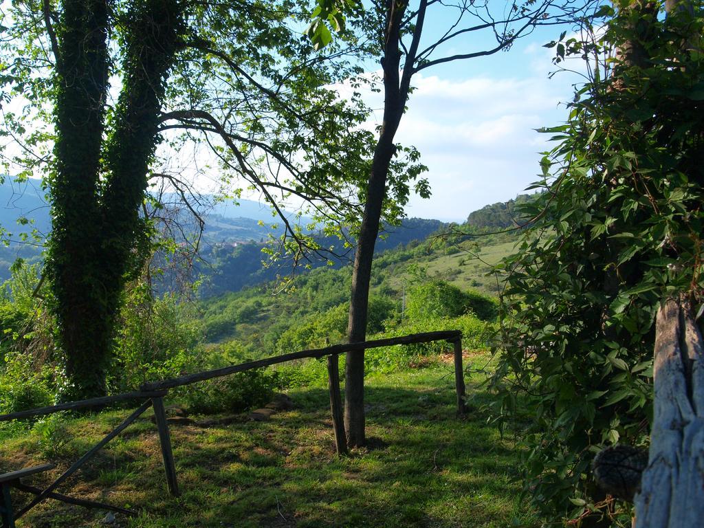 Agriturismo Becerca Vegan Serra San Quirico Экстерьер фото