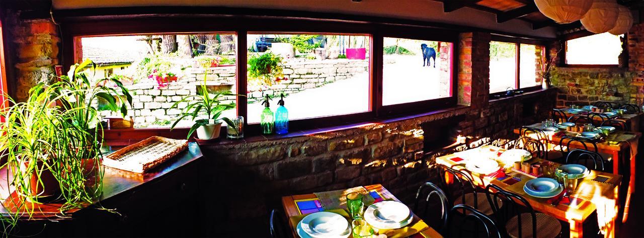 Agriturismo Becerca Vegan Serra San Quirico Экстерьер фото